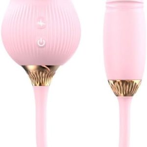 Estimulador Dual Rosa de Silicona Premium Recargable